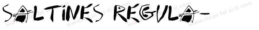 Saltines Regula字体转换